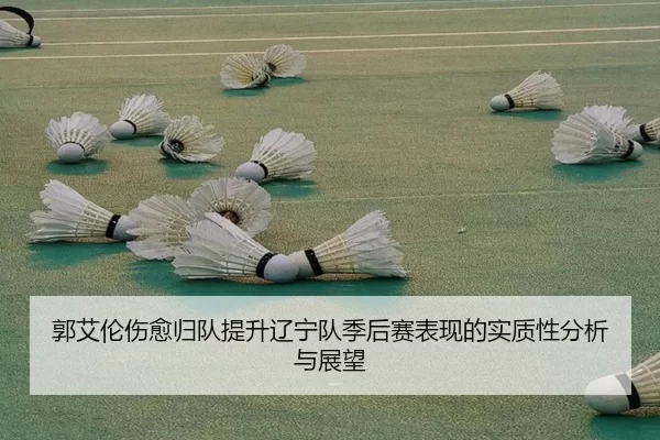 郭艾伦伤愈归队提升辽宁队季后赛表现的实质性分析与展望